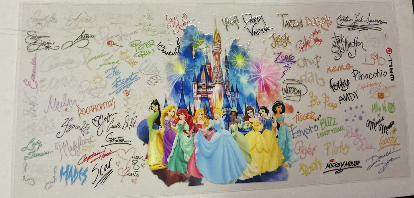 #161 Disney Princesses